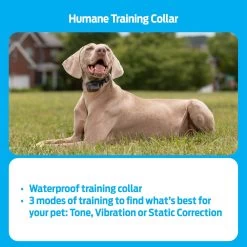 Premier® PREMIER PET REMOTE TRAINER - 300 YARD 12 Premier® PREMIER PET REMOTE TRAINER - 300 YARD -Pet Essentials Shop 5345963 alt4
