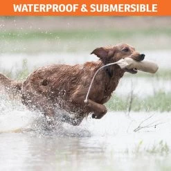 SPORTDOG 3 MODE BARK COLLAR -Pet Essentials Shop 5345977 alt4