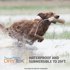 SPORTDOG STUBBON DOG REMOTE TRAINER - 100 YARDS -Pet Essentials Shop 5345978 alt4