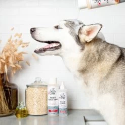 Skout's Honor® Probiotic Itch Relief Shampoo -Pet Essentials Shop 5346035 alt6