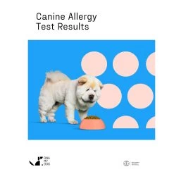 DNA My Dog Allergy Test -Pet Essentials Shop 5346151 alt3