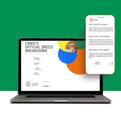 DNA My Dog Essential Breed ID Test -Pet Essentials Shop 5346152 alt3